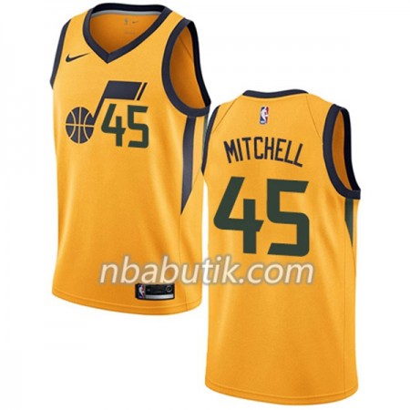 NBA Mænd Trøje Utah Jazz Donovan Mitchell 45 Nike 2017-18 Grå Swingman NBA Mænd Trøje Utah Jazz Donovan Mitchell 45 Nike 2017-18 Grå Swingman